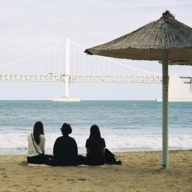 来島海峡SA展望台4